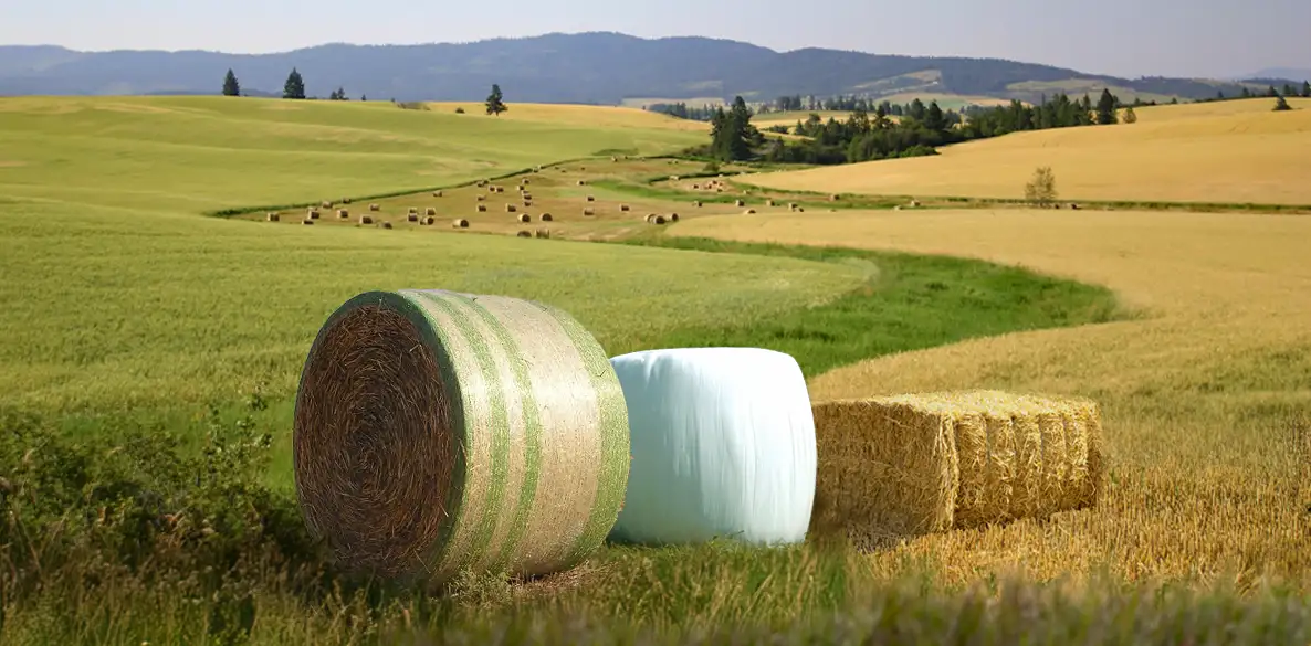 Round hay bale with netwrap, wrapped silage bale, and square straw bale in a harvested field
